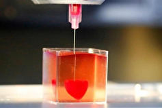 داربست‌های هیدروژل مناسب برای مهندسی بافت قلبی انسان!