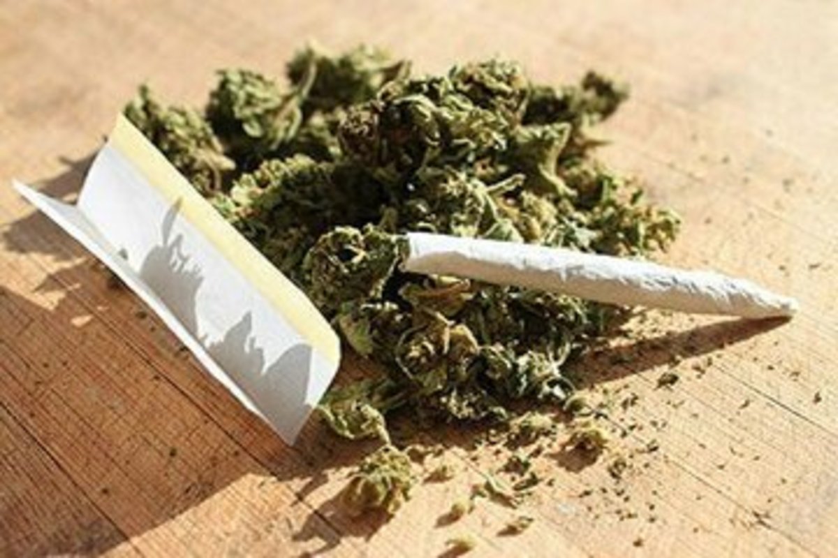 خلاء و فشار ذهنی دلیل اصلی سوق یافتن جوانان به مواد مخدر است