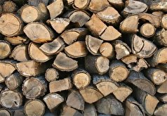 ضرورت مقابله با بیش‌اظهاری برخی واردکنندگان چوب در گمرک