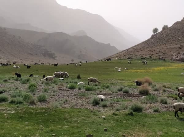 نمایشگاه طبیعت بهار در خراسان جنوبی