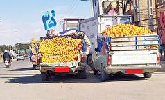 خودرو‌های میوه فروش در خرم‌آباد ساماندهی می‌شوند