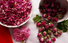 گلی که تنها بوییدن آن بر سلامت شما تاثیرگذار است!
