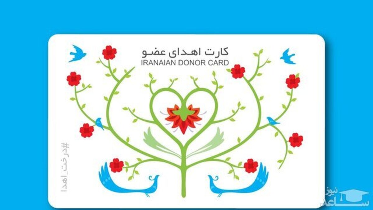 افزایش ۵۶ درصدی اهدای عضو در خراسان جنوبی