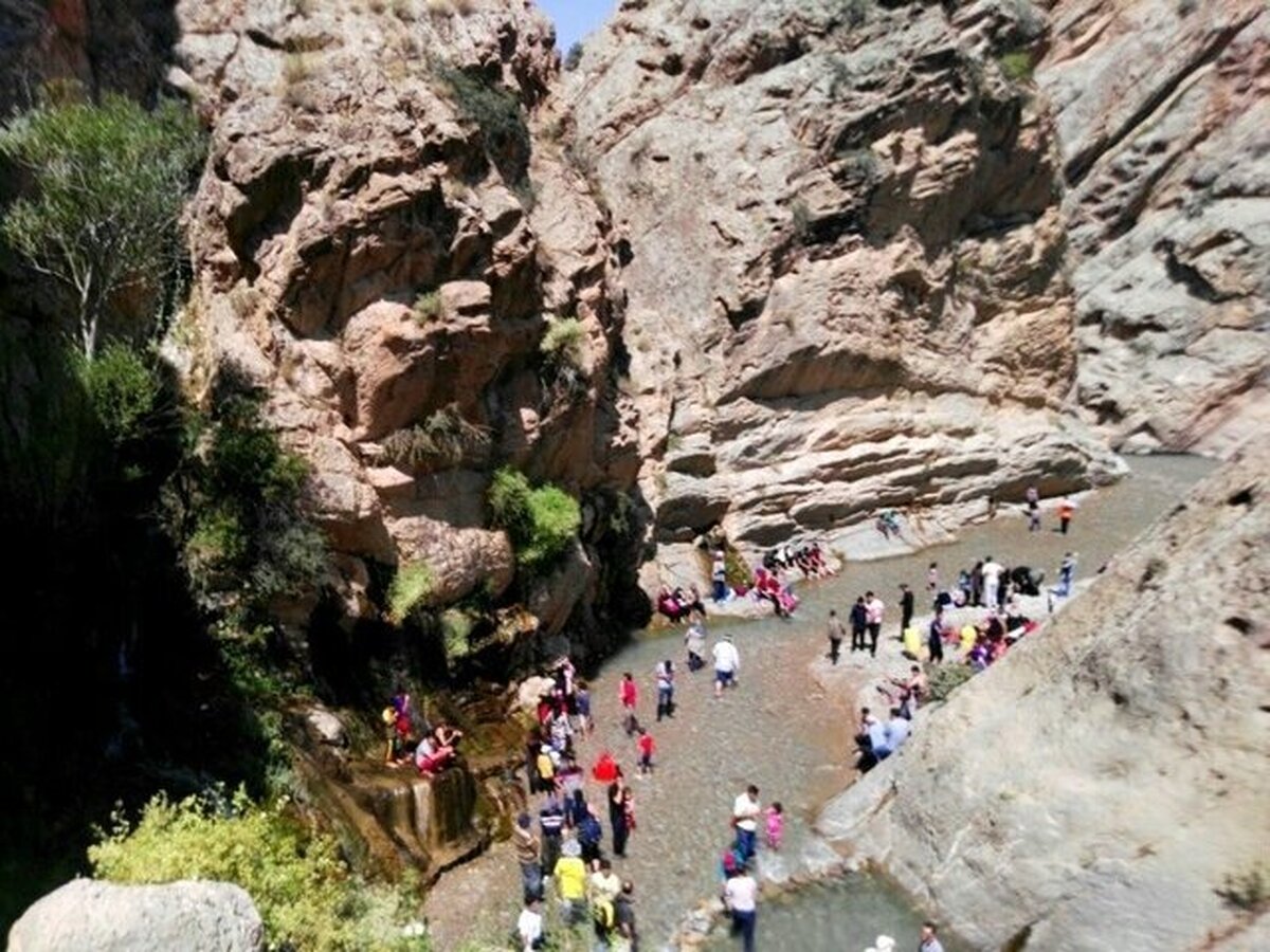 دفاتر خدمات مسافرتی و گردشگری حق برگزاری تور گردشگری و طبیعت‌گردی ندارند