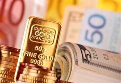 آخرین آپدیت قیمت طلا، سکه و ارز در بازار آزاد