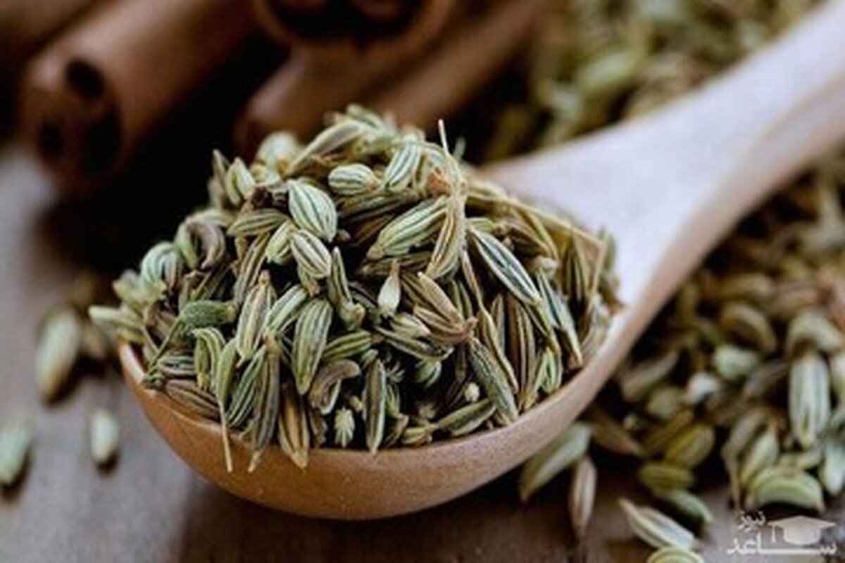 فواید بیشمار داروی گیاهی رازیانه