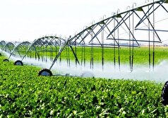 راهکار‌های برای تامین محصولات کشاورزی با وجود تغییرات اقلیمی در کشور