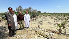 خسارت ۲۱ هزار میلیارد ریالی سیلاب به بخش کشاورزی سیستان و بلوچستان