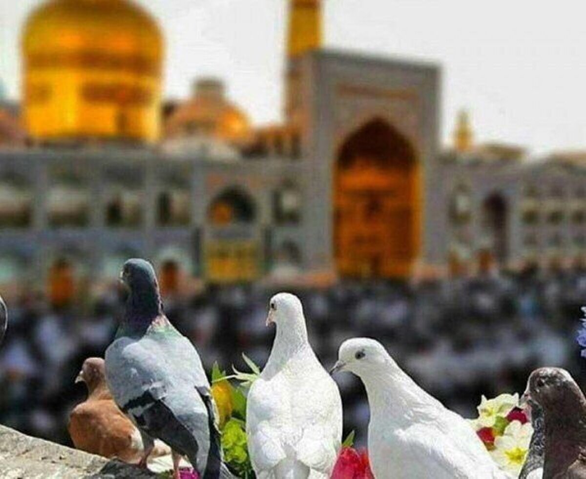 امام رضا (ع) در معنویت و باور‌های مردم ایران برکت ایجاد کرد