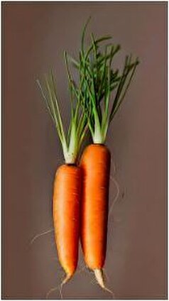 مصرف بیش از اندازه هویج چه مشکلاتی را به وجود می‌آورد؟