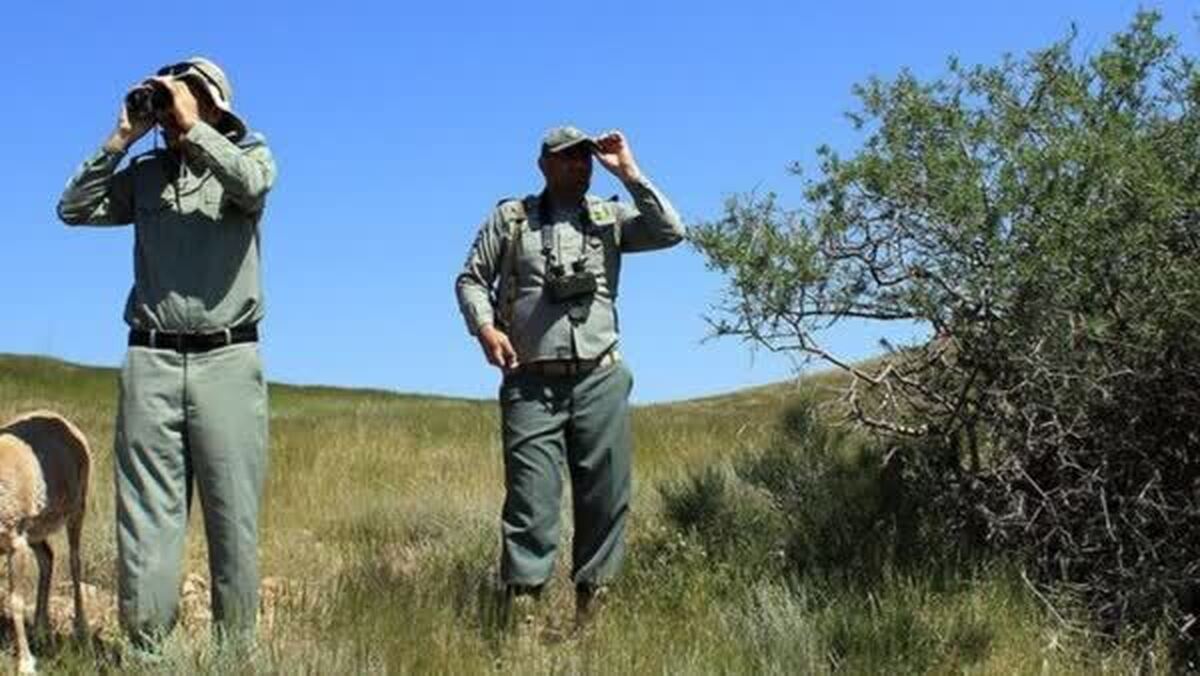 باید بسیاری از قوانین مربوط به محیط‌بانان از ساختار اصلاح شود