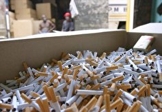 کشف حدود یک میلیارد ریال سیگار قاچاق در بجنورد