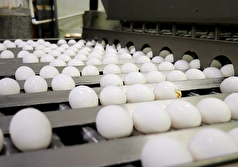 کاهش قیمت تخم‌مرغ در میادین و بازار‌های میوه و تره‌بار