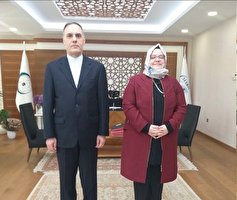 رایزنی سفیر ایران در ترکیه با یکی از مقامات سازمان همکاری اسلامی