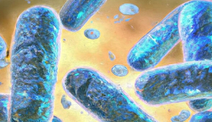 باکتری‌های مقاوم به دارو به محیط‌های آبی و حیات وحش رسیدند!
