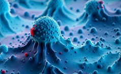 فناوری جدیدی که سلول‌های سرطانی را با جزئیات مشاهده میکند!