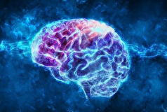 حجم مغز پیوسته در حال افزایش است!