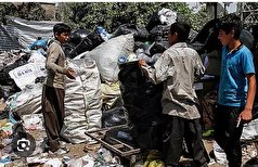 درآمد ۱۵۰ میلیونی هر زباله گرد درتهران، استخدام کتفی‌ها به کجا رسید؟