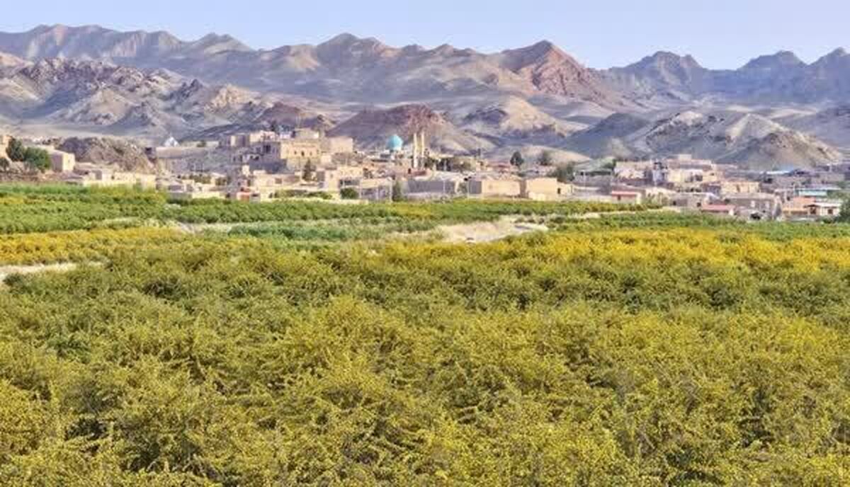 هوای خراسان جنوبی پاک است