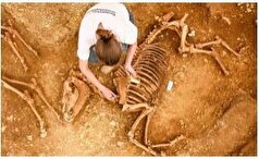 استخوان‌های اسب‌های ۲۰۰۰ ساله کشف شدند