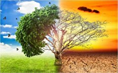 گرمایش جهانی چه تاثیری بر روند آب و هوایی دارد؟