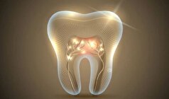 به احتمال زیاد این دارو منجر به رشد مجدد دندان میشود!