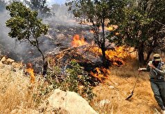 نقش پررنگ عوامل انسانی در آتش سوزی منابع طبیعی