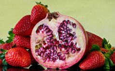 تقویت حافظه و کمک به درمان آلزایمر به کمک این میوه ها!