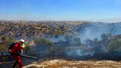 مهار آتش سوزی «آب‌نارو» شهرستان کهگیلویه