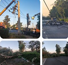 سقوط درخت روی شبکه برق در اتوبان لشکر اهواز حادثه آفرید