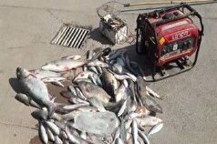 فوت مرد ۳۵ ساله در «ایوان» بر اثر ماهی‌گیری غیراصولی
