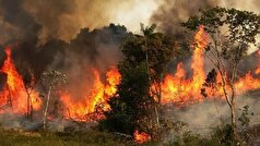 ۲۵ هکتار از جنگل‌های پارک ملی کرخه در آتش سوخت