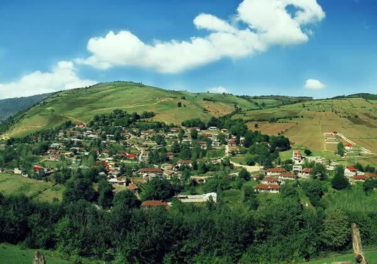 ماجرای تخریب مزارع برنج احمدآباد مازندران چه بود؟