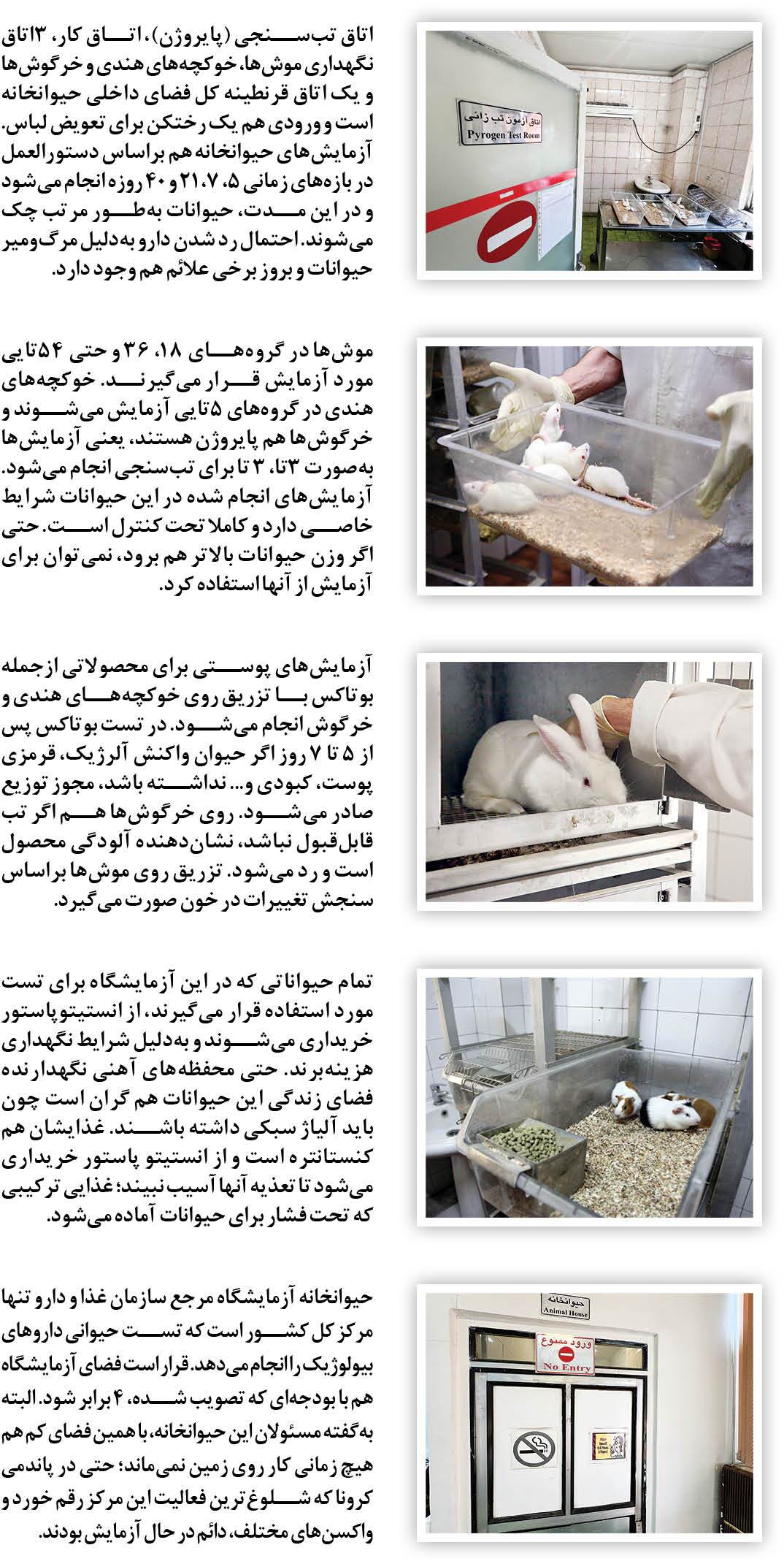 جان این موجودات فدای زندگی ما می‌شود!