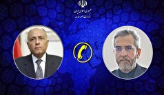 گفتگوی تلفنی علی باقری با وزیر خارجه مصر