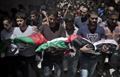 پیوستن اولین کشور اروپایی به شکایت نسل‌کشی علیه اسرائیل در دادگاه لاهه