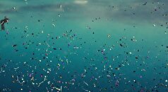کشف باکتری‌های پلاستیک‌خوار مناسب برای محافظت از اقیانوس ها!
