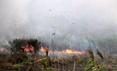 آتش‌سوزی عمدی در ۳ هکتار از اراضی تالاب بین‌المللی انزلی