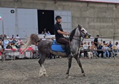 اولین همایش کشوری اسب کرد در دهگلان برگزار شد