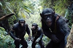 سلطنت «پادشاهی سیاره میمون‌ها» در گیشه سینما‌های آمریکا