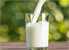 نیاز روزانه بدن به شیر چه مقدار است؟