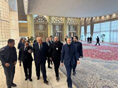 استقبال علی باقری از وزیر امور خارجه مصر
