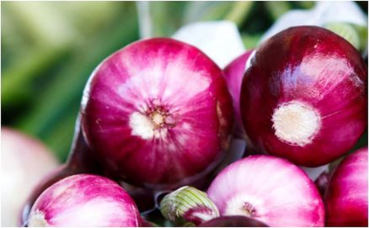 مواد غذایی که فکرش را هم نمی‌کردید در کاهش وزن موثر باشند را بشناسید!
