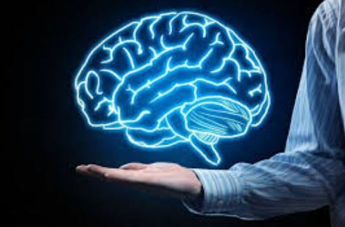 چگونه رژیم غذایی ما ذهن را هم درگیر میکند؟