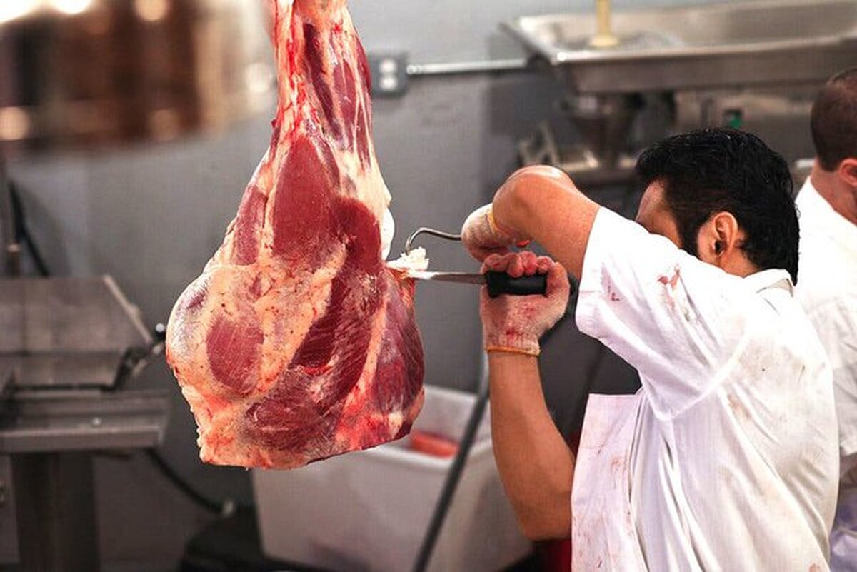 نظارت ۶۶ اکیپ آذربایجان‌غربی بر ذبح بهداشتی قربانی در عید قربان
