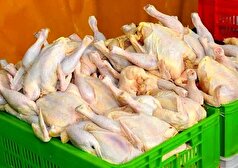 استان فارس، رکورددار قیمت مرغ در کشور