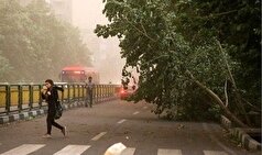 هشدار وزش باد شدید و توفان در تهران