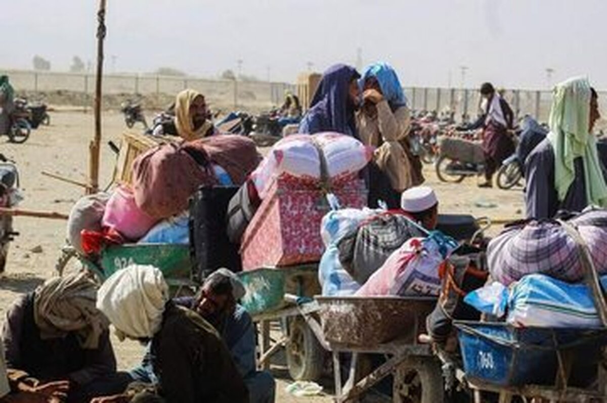 راندن بیش از ۱۶ هزار افغانی از پاکستان به کشورشان