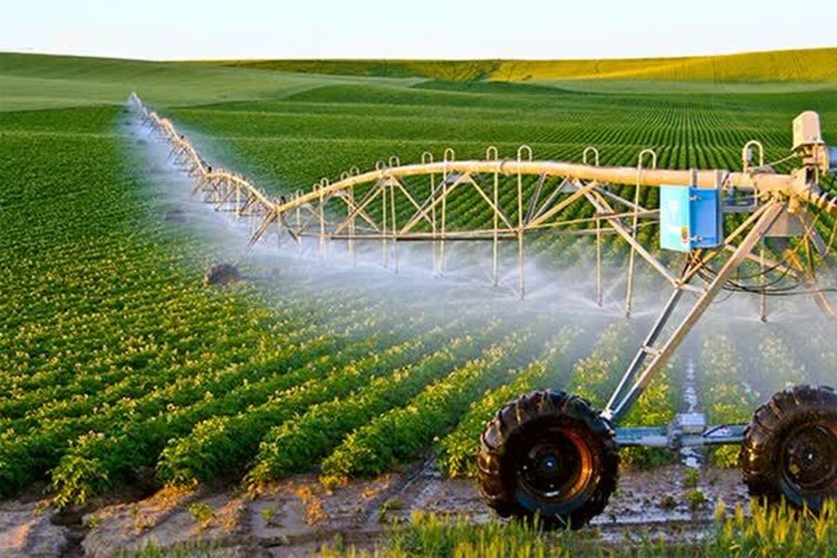 پرداخت بیش از ۱۷ هزار میلیارد ریال تسهیلات حمایتی به سرمایه‌گذاران بخش کشاورزی