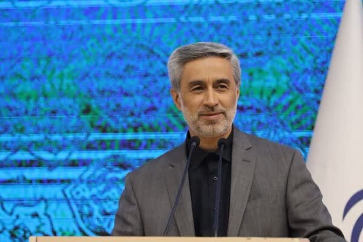 قوانین دست‌و‌پاگیر عامل کندی روند جذب اعتبارات است